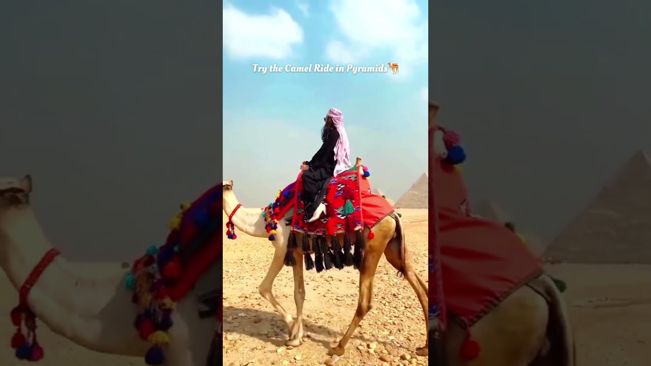 How to spend a Day in Cairo?