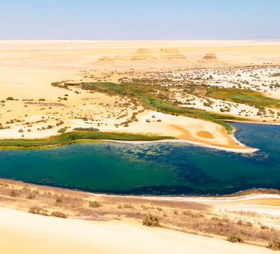 Fayoum Oasis