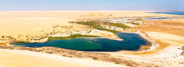 Fayoum Oasis in Egypt