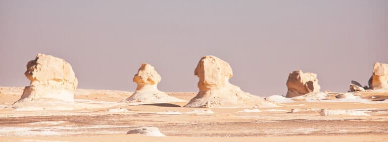 Bahariya Oasis in Egypt