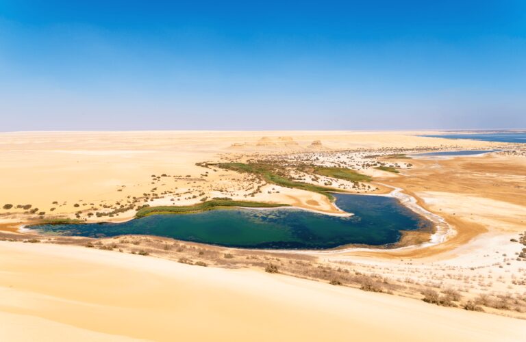 Over Day Tour to Fayoum City From Cairo by Car