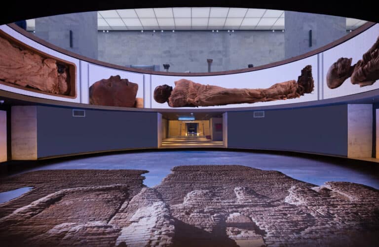 Half-Day Visit to the Egyptian Museum of Civilization — photo 4