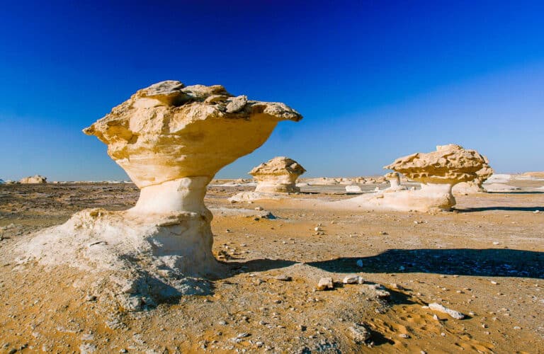 12 Day Cairo & Nile Cruise and Bahariya Oasis — photo 2