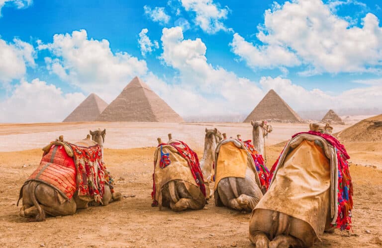Pyramids Of Giza Camel Rides — photo 3