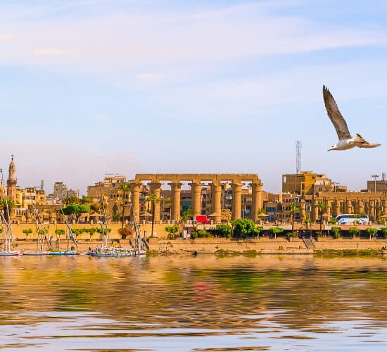 Things To Do in Luxor