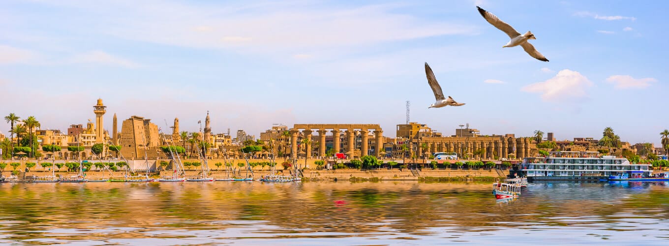 Activities in Luxor