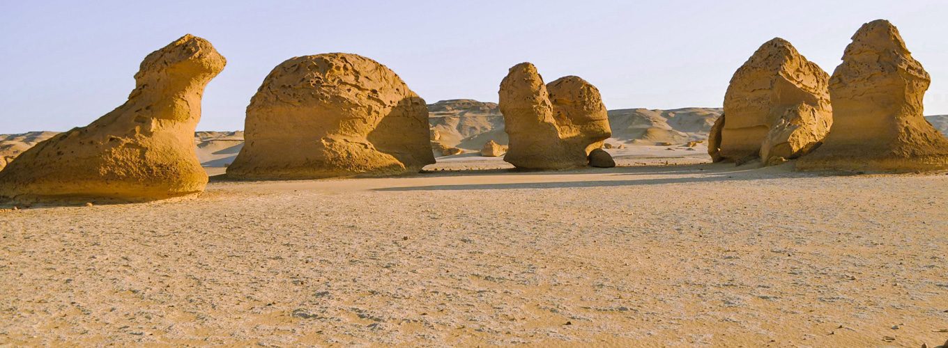 what to do in fayoum 