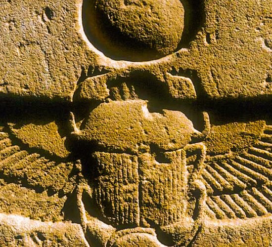 Egyptian Scarab Beetle