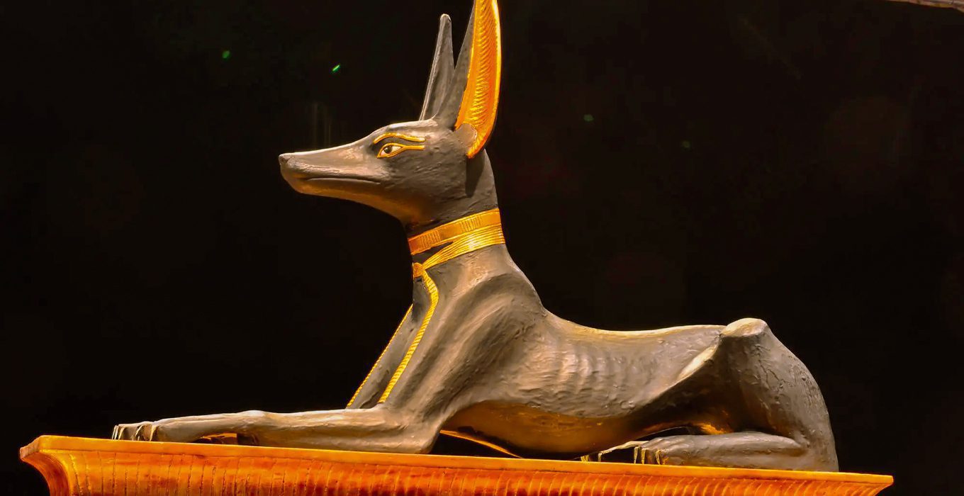 Egyptian Dog God